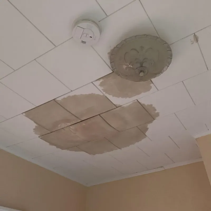 Ceiling Water Damage Repair in Primera, TX